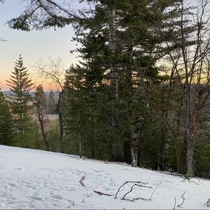 Meet your Posher, Jewel